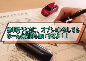新車を【オプションなし】で買うのはアリ？正直、アリと言い切れる理由を解説